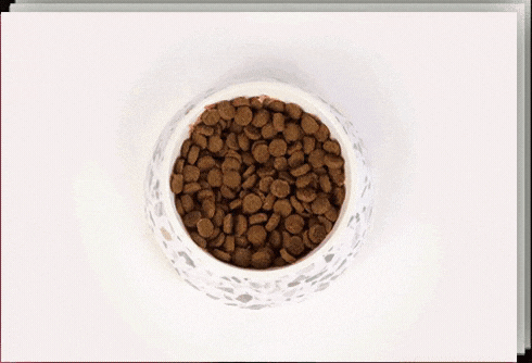 Essentially Brands Project